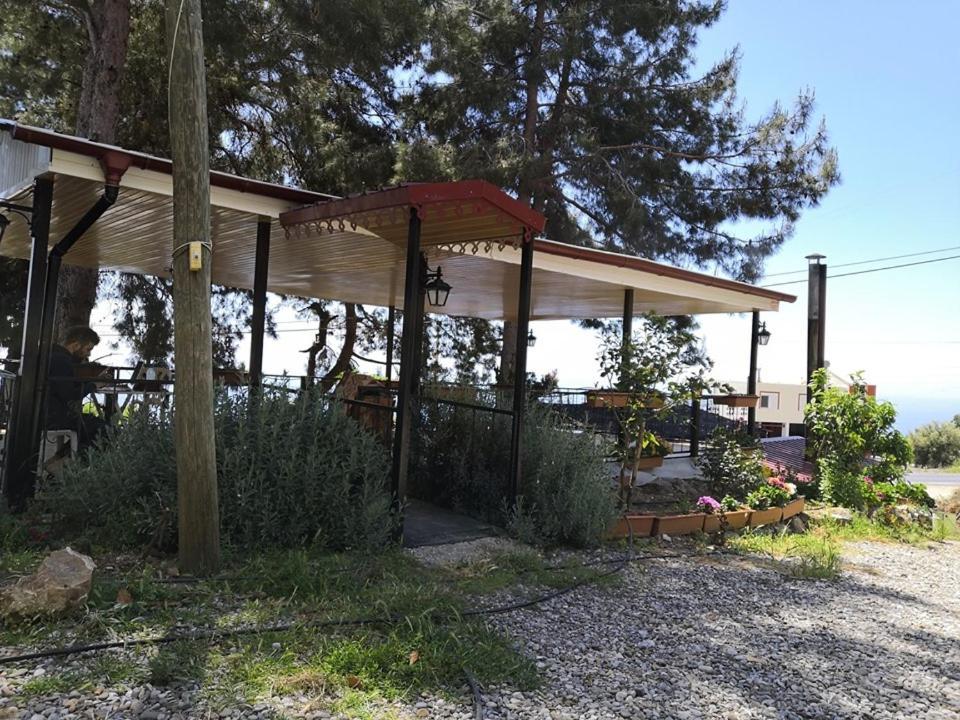Zeytinada Pansiyon Ve Goezleme Guneykoy Экстерьер фото