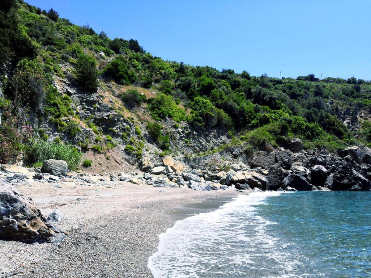 Zeytinada Pansiyon Ve Goezleme Guneykoy Экстерьер фото