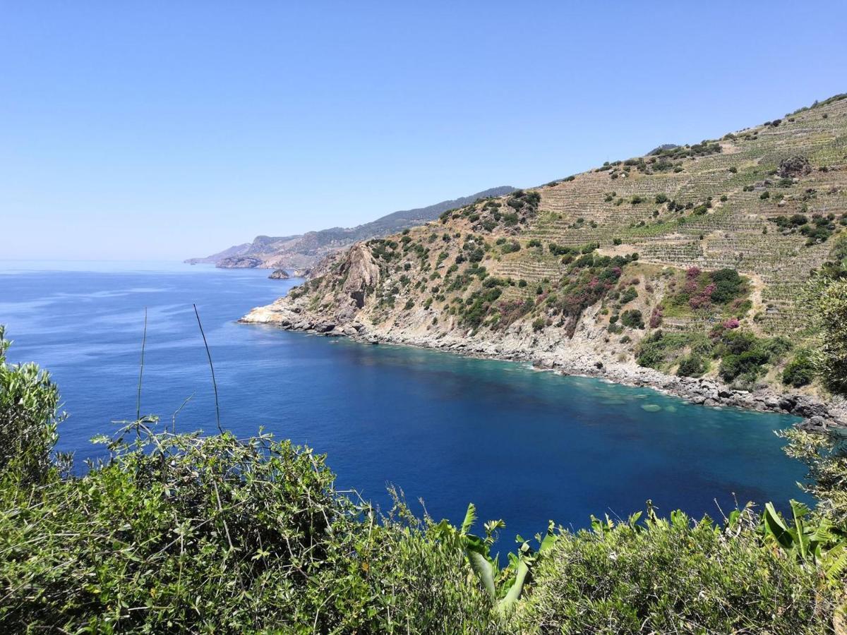 Zeytinada Pansiyon Ve Goezleme Guneykoy Экстерьер фото